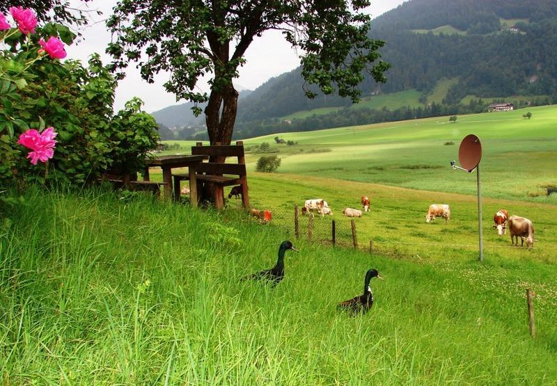 Апартаменты Hinterankerwald Вальхзе Экстерьер фото