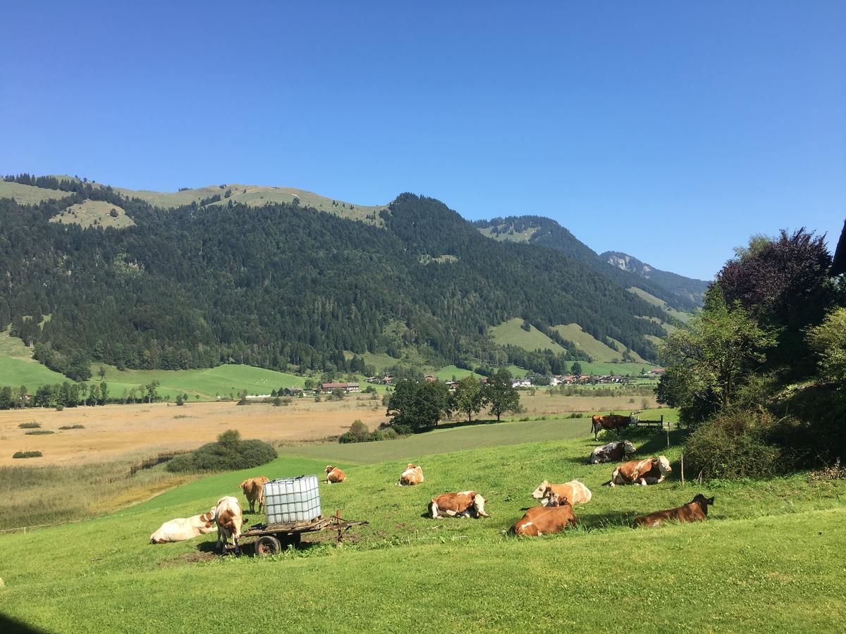 Апартаменты Hinterankerwald Вальхзе Экстерьер фото